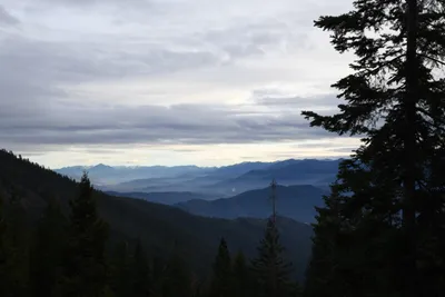 DSC_0066 (Large).JPG